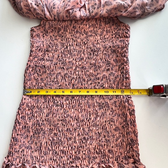 MISA - Giada Dress in Rose Paisley - Picture 11 of 11